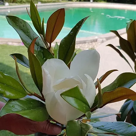 Staliovata House بيت ضيافة بورغاس