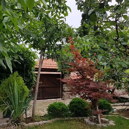 Staliovata House * بورغاس