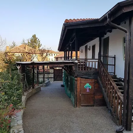 Pensiune Staliovata House