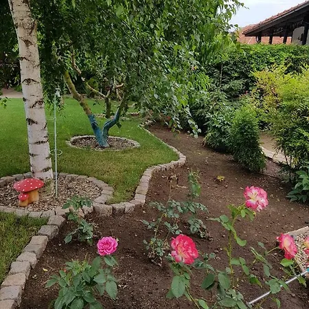 Staliovata House Pensiune *